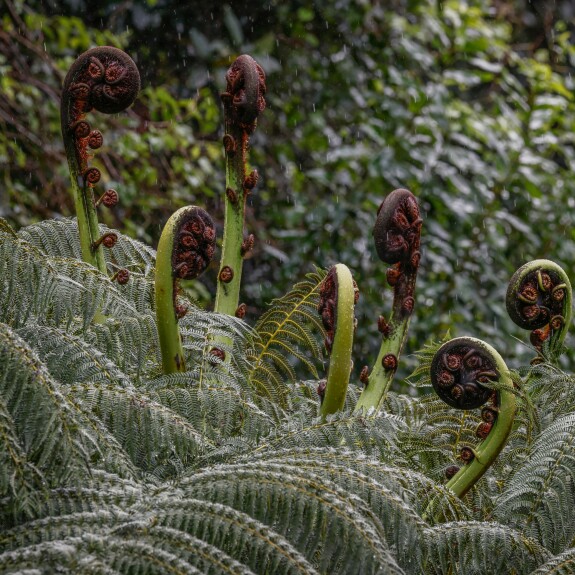 Backgroundforredress unsplash